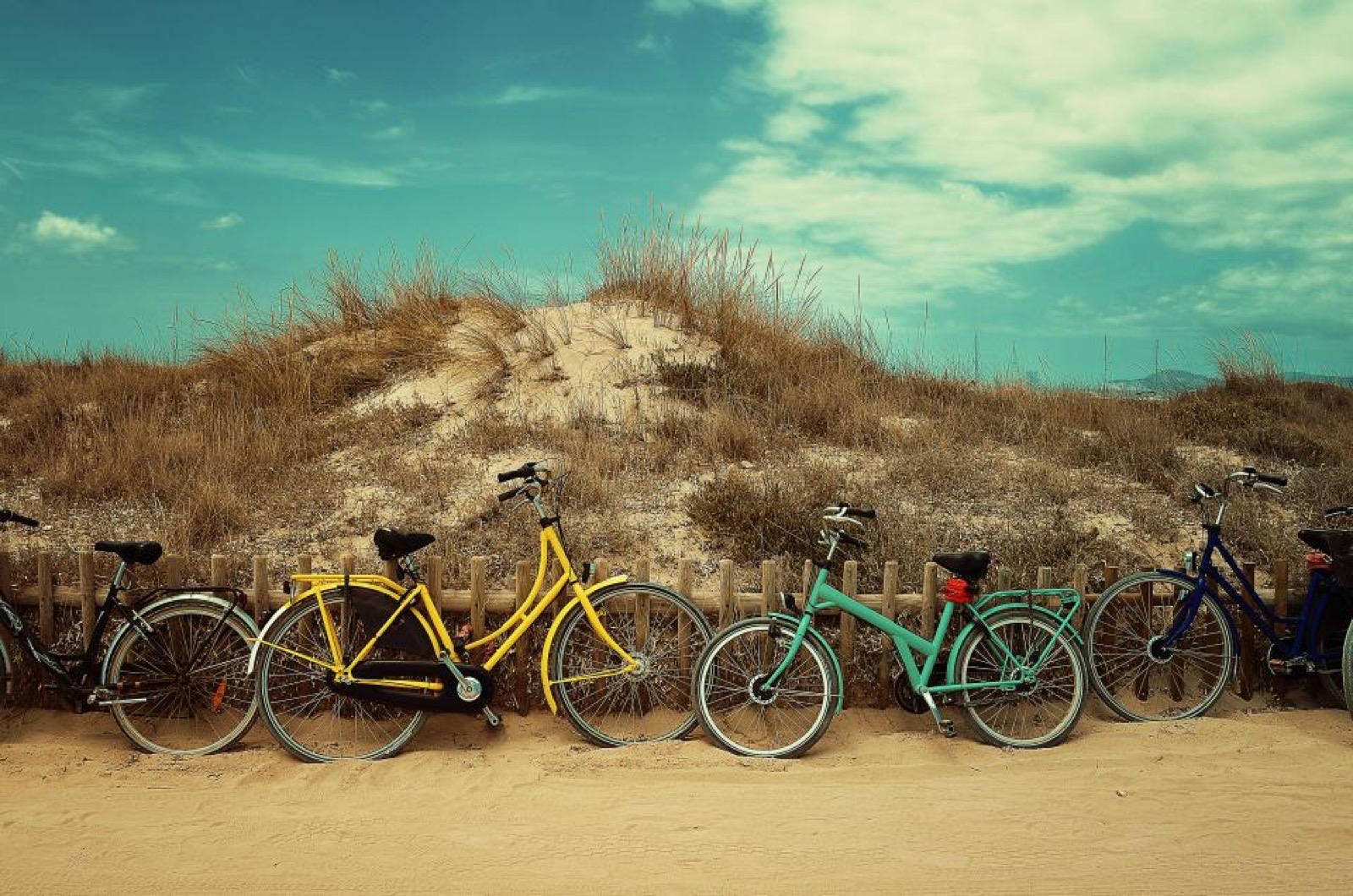 A row of step-thru cruiser bicycles leaning against a fence beside dune grass